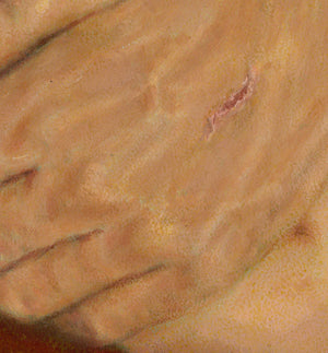 I Have Graven Thee ~ NFS