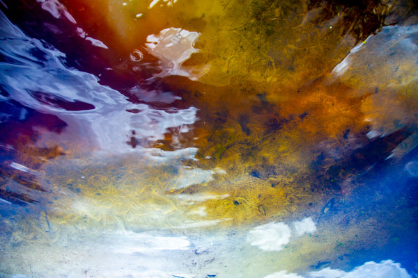 What iŻ ReÅlity?