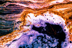 Wild Hearts Can't Be Broken