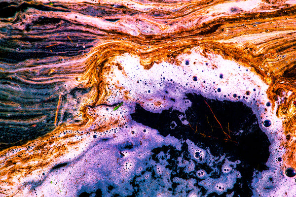 Wild Hearts Can't Be Broken